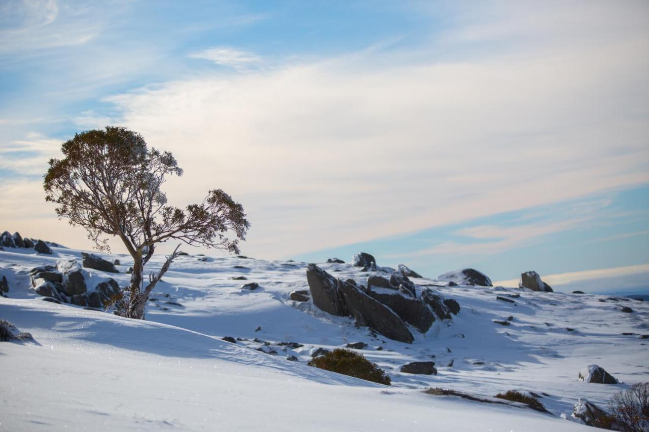 Aneeki Ski Lodge Thredbo Εξωτερικό φωτογραφία